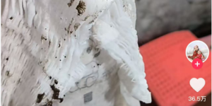 <?php the_title(); ?>