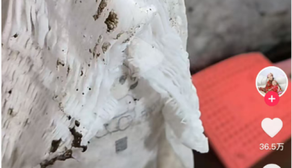 2年前防洪尿不湿火到2026！吸水力惊现“抗洪名场面”