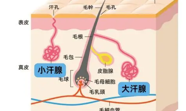 10 岁孩子有狐臭怎么办？儿童止汗产品怎么选？安全有效才是关键
