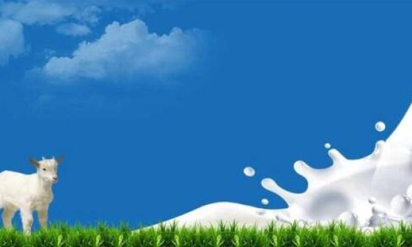 伊利羊奶粉-符合中国人体质的优质奶粉